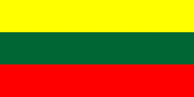Regular Size Lithuanian Silk Flag.