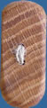 WB13 rounded oak wood button. Sold in package of 10 pieces.