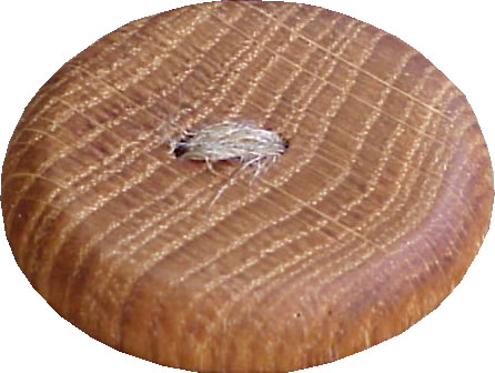 WB08 oak wood button. Sold in package of 10 pieces.